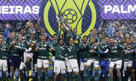 copa do brasil palmeiras 2022.